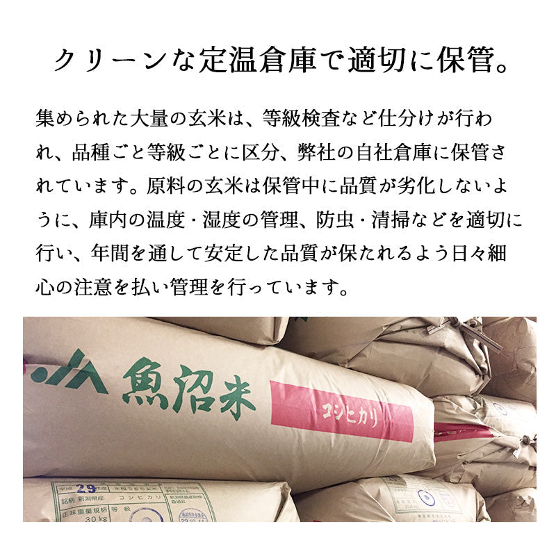 とれたて新米 8kg 新潟県産こしいぶき お米 令和４年産（本州：送料無料