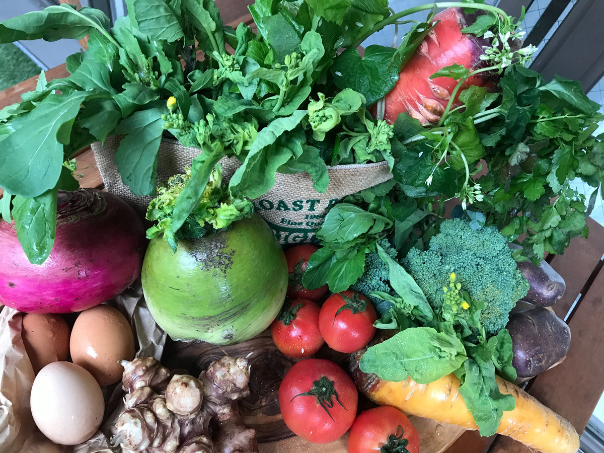 旬のお野菜セット8種類入り【Sサイズ】