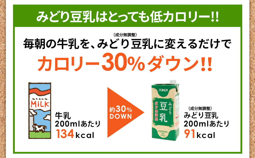 九州乳業　みどり豆乳　成分無調整豆乳　1L紙パック×24本[6本×4ケース]［賞味期限：製造日より120日］［送料無料］【3~4営業日以内に出荷】ヘルシー 大豆 たんぱく質 イソフラボン アイス 糖質 1000ml 1リットル