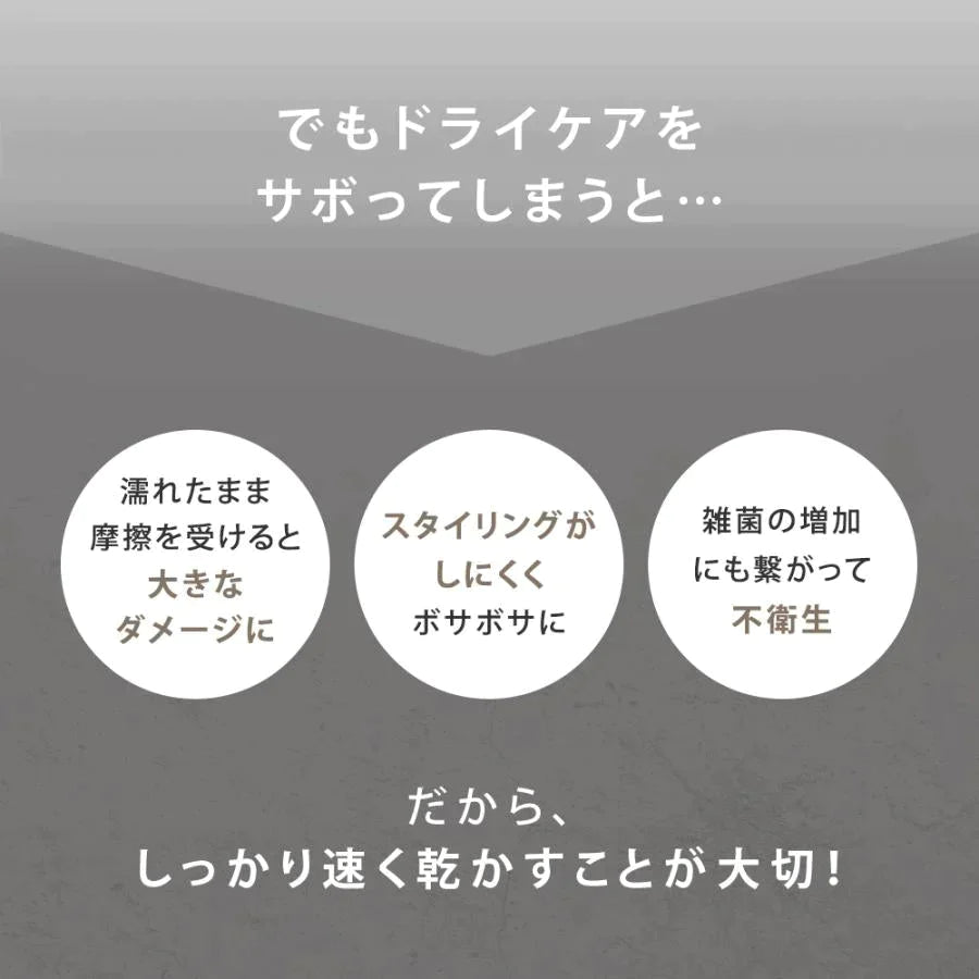 【超得ハイパーSALE】SALONIA スピーディーイオンドライヤー ホワイト