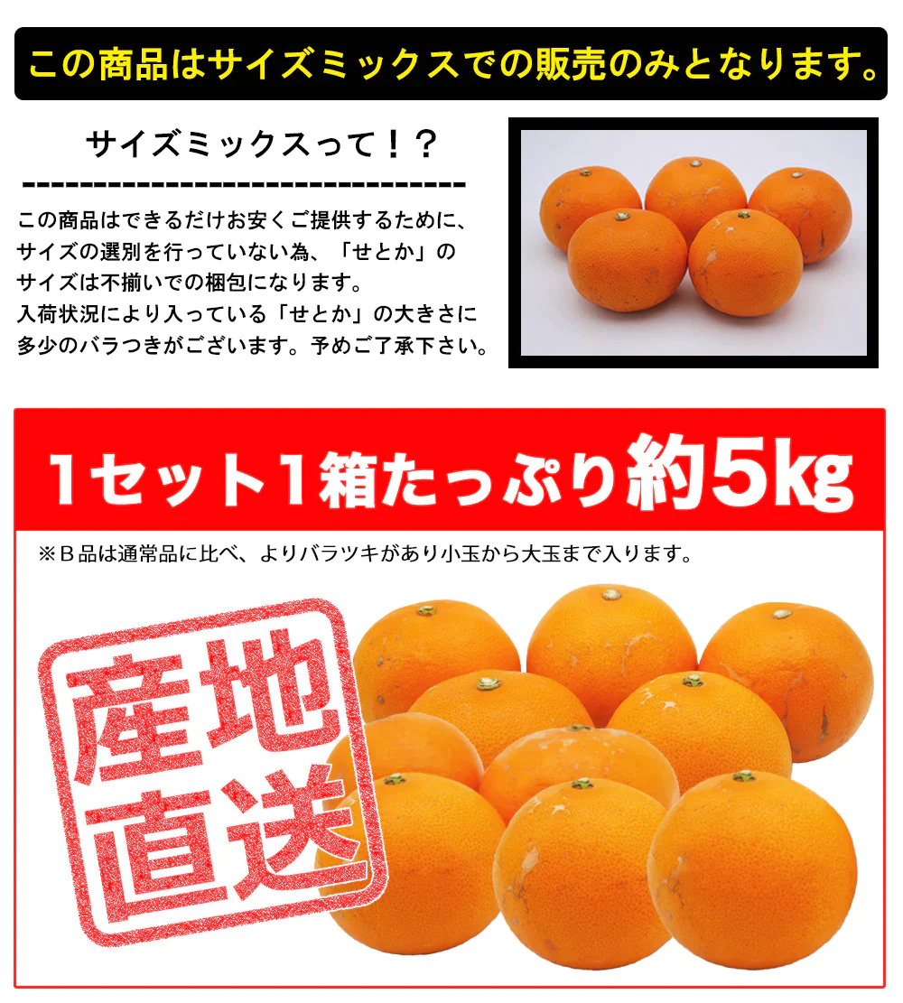 せとか 訳あり みかん 5kg ミカン 蜜柑 サイズミックス 柑橘 フルーツ 果物 くだもの ご家庭用 箱買い 産地直送 愛媛県産 YDF-020