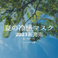 ＼接触冷感 熱中症対策／  cicibella 2023 新発売 ヘーゼルナッツ 3D冷感マスク マスク 冷感 マスク 不織布