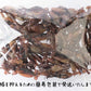 160g 国産 まめいか