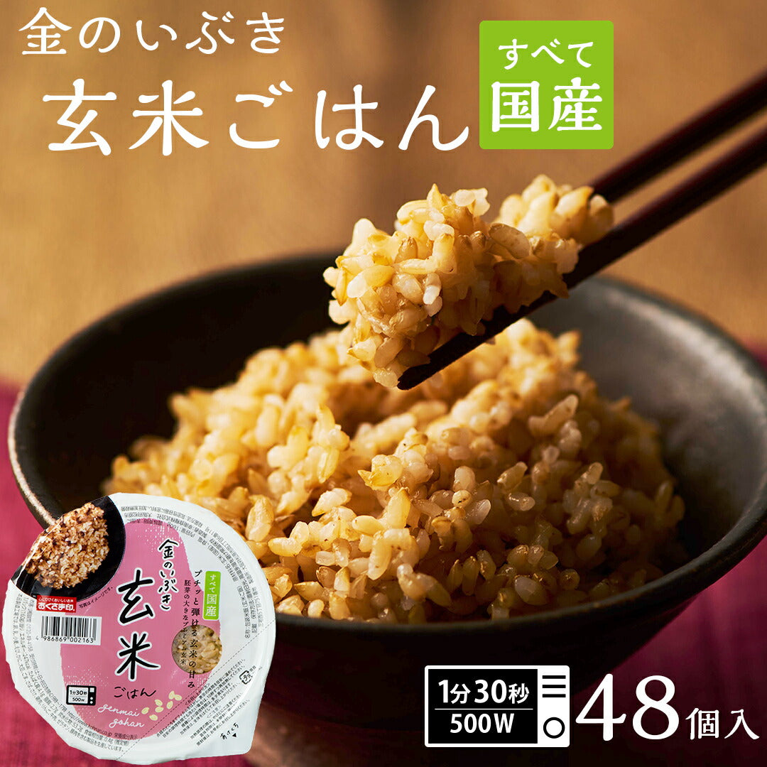 ご飯パック 金のいぶき玄米ごはん 宮城県産 48個セット 160g おくさま印 お米 レトルト 食品 無添加 国産 栄養 健康 レンジで簡単 温めるだけ ギフト 引っ越し 挨拶 出産 内祝い お中元 お歳暮 結婚 還暦 お年賀 送料無料