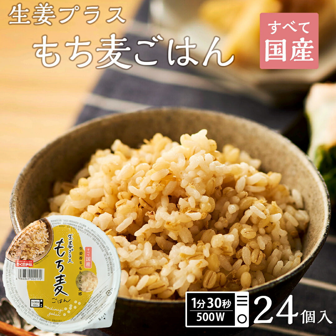 ご飯パック 生姜プラスもち麦ごはん 24個セット 160g おくさま印 お米 レトルト 食品 無添加 国産 レンジで簡単 温めるだけ ギフト 引っ越し 挨拶 出産 内祝い 母の日 父の日 お中元 お歳暮 結婚 還暦 送料無料