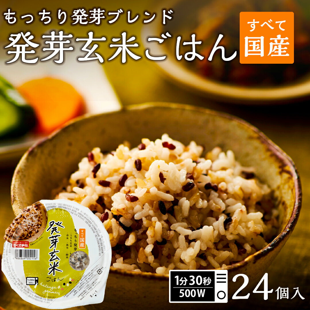 ご飯パック 発芽玄米ごはん 24個セット 160g おくさま印 お米 レトルト 食品 無添加 国産 レンジで簡単 温めるだけ ギフト 引っ越し 挨拶 出産 内祝い 母の日 父の日 お中元 お歳暮 寒中 暑中見舞い 送料無料