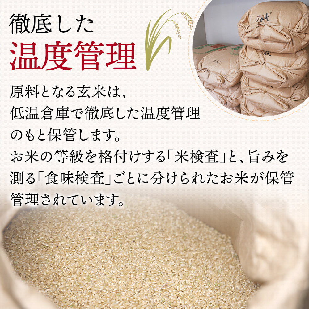 【5人シェア買いで5%OFF】雪若丸 10kg  令和3年 山形県産 送料無料【最安値に挑戦】
