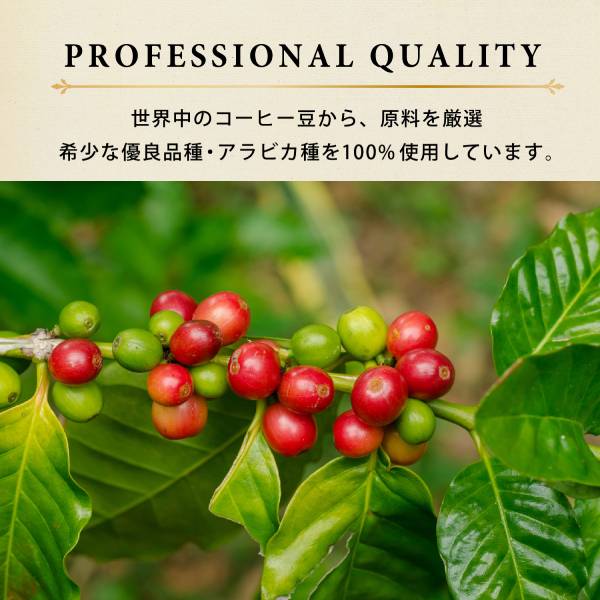 TULLY'S COFFEE THE BARISTA’S ROAST タリーズコーヒー バリスタズ ロースト ドリップコーヒー アイスコーヒーブレンド 25箱(10g×125袋) ドリップバック コーヒー豆 コーヒー粉 珈琲 レギュラーコーヒー ブラックコーヒー 【2〜3営業日内に出荷】[送料無料]