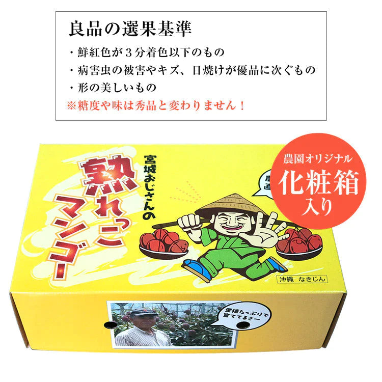 【カウシェうまいもん市場】マンゴー 沖縄 完熟マンゴー 良品 1kg 2～3玉 糖度14度選果 今帰仁村 産地直送 あけのフルーツ アップルマンゴー アーウィン種 常温便 同梱不可 指定日不可