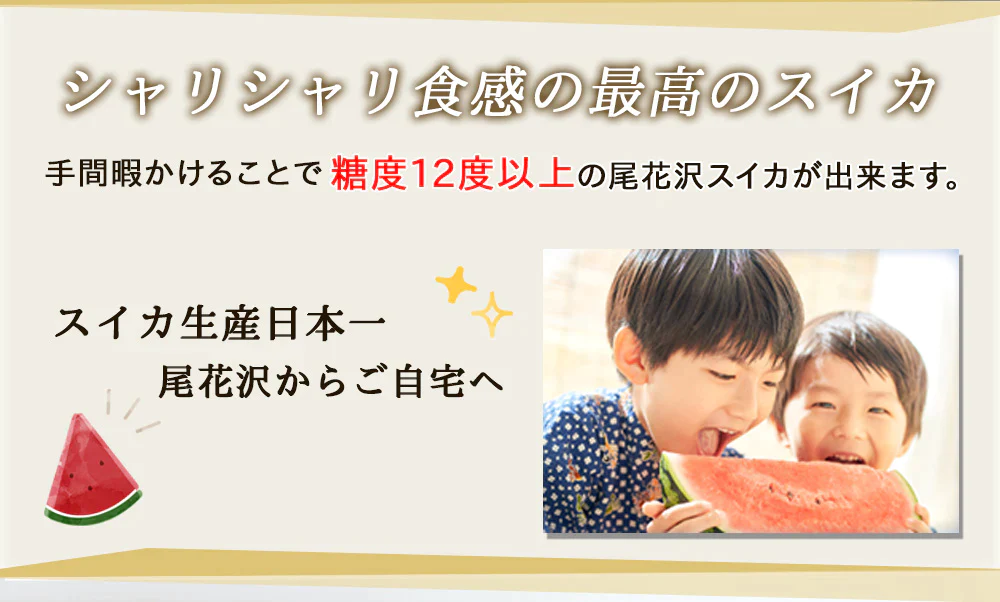 【予約販売7月下旬より順次出荷】尾花沢スイカ １玉 山形県産 4L 5L スイカ すいか 送料無料 ギフト お取り寄せ 産地直送  kkb-008