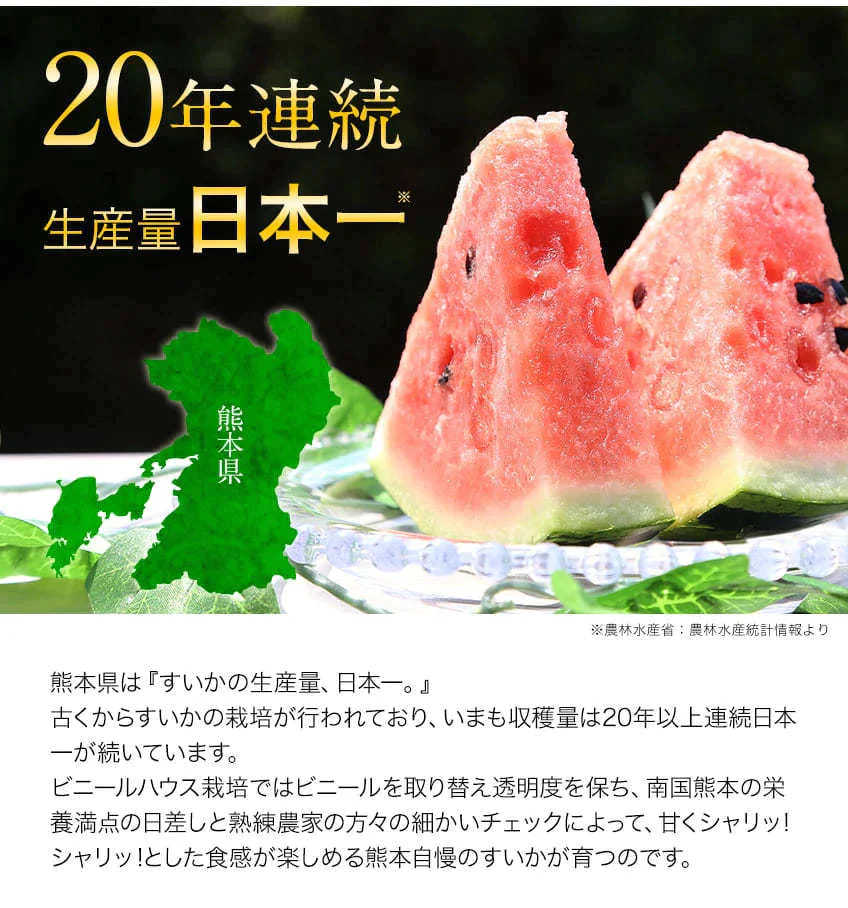 【カウシェうまいもん市場】すいか 熊本県産 送料無料 訳あり スイカ 熊本すいか 1玉 S〜Mサイズ 4kg以上 果物 フルーツ 旬 食品 7-14営業日以内に出荷予定(土日祝日除く)