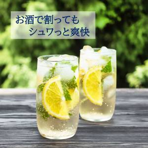[送料無料] 伊藤園 強炭酸水ミネラルストロング 500mlPET×24本【3?4営業日以内に出荷】 強炭酸水 炭酸水 天然水炭酸水 ミネラル シリカ スパークリング ソーダ