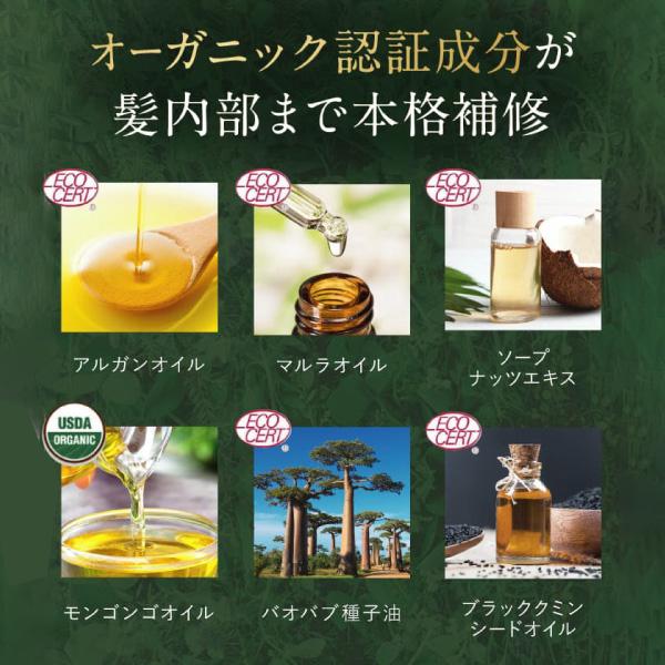 さくらの森【公式】 送料無料 ハーバニエンス シャンプー  グリーンローズ ノンシリコン アミノ酸 頭皮ケア 美容室専売 無添加 アミノ酸 ボタニカル くせ毛 低刺激 美容室
