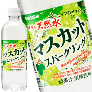 [送料無料] サンガリア 伊賀の天然水 マスカットスパークリング 500mlPET×24本【8月12日出荷開始】