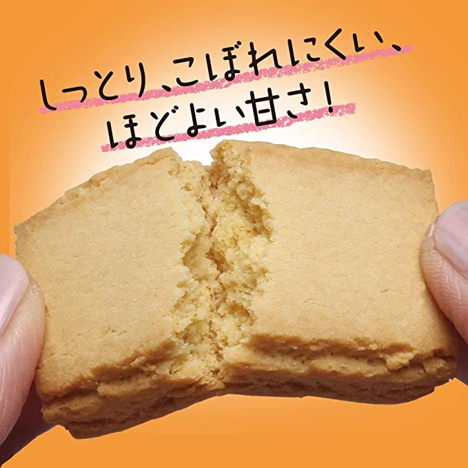 【たっぷり10個！】江崎グリコ バランスオンminiケーキ チョコブラウニー　※