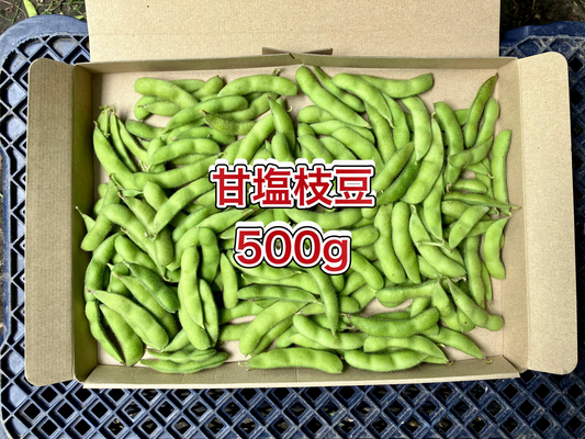 【鹿児島産】甘塩枝豆箱込み500g