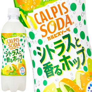 [送料無料] アサヒ カルピスソーダ シトラスと香るホップ 500mlPET×48本[24本×2箱]【3〜4営業日以内に出荷】