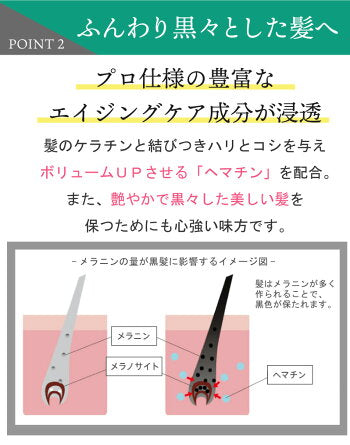 【タイムセール】【詰め替え用】美容室専売品ボリュームアップ シャンプー（500ml詰め替えパウチ）スカルプケア 頭皮環境 サロン専売品 ハホニコ 育毛 女性用 男性用 ユニセックス EARTHEART アースハート