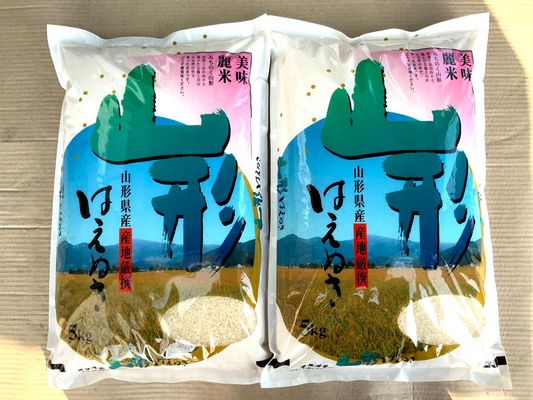 令和４年産！ 山形県産 はえぬき 白米５ｋｇｘ2袋