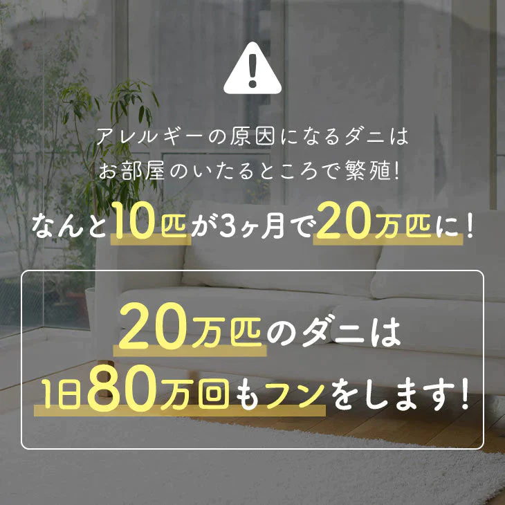【SUPER在庫処分市】ダニ捕りパック【ブラックホール®】　2個入