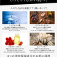 【オークル】 ピコモンテ ミネラル BBクリーム  50g SPF30 PA++ BB 自然な肌色 ノンケミカル UVケア UVカット 日焼け止め 紫外線カット bbクリーム 保湿成分配合 光拡散ミネラルパウダー配合 日本製コスメ 化粧品 ベースメイク 定型内 送料込み