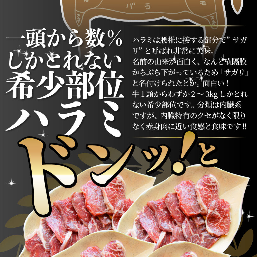 _^／霜降り加工牛肉 ハラミ サガリ 3kg箱詰め！焼肉店でも大人気です！切り方でアレンジできます！ 焼き肉