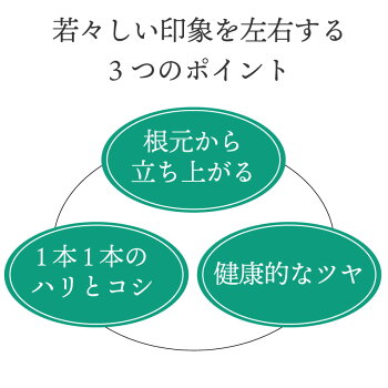 【タイムセール】【詰め替え用】美容室専売品ボリュームアップ シャンプー（500ml詰め替えパウチ）スカルプケア 頭皮環境 サロン専売品 ハホニコ 育毛 女性用 男性用 ユニセックス EARTHEART アースハート