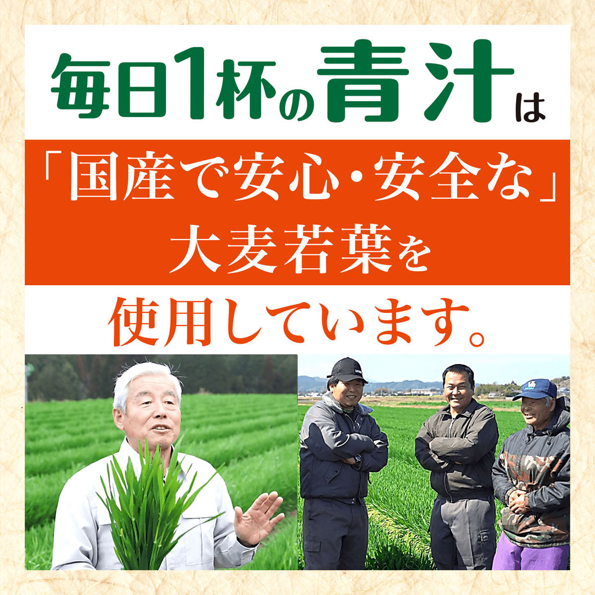 [送料無料] 伊藤園 毎日1杯の青汁 まろやか豆乳ミックス 7.5g×20包個包装×2箱【3〜4営業日以内に出荷】