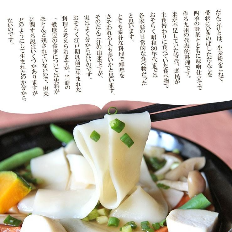 【100円シェア買い】大分 熊本名物  手延べ 半生だんご汁(団子汁/だご汁)  九州名物 120g(2食分)×2【ご新規さんとシェア買い】