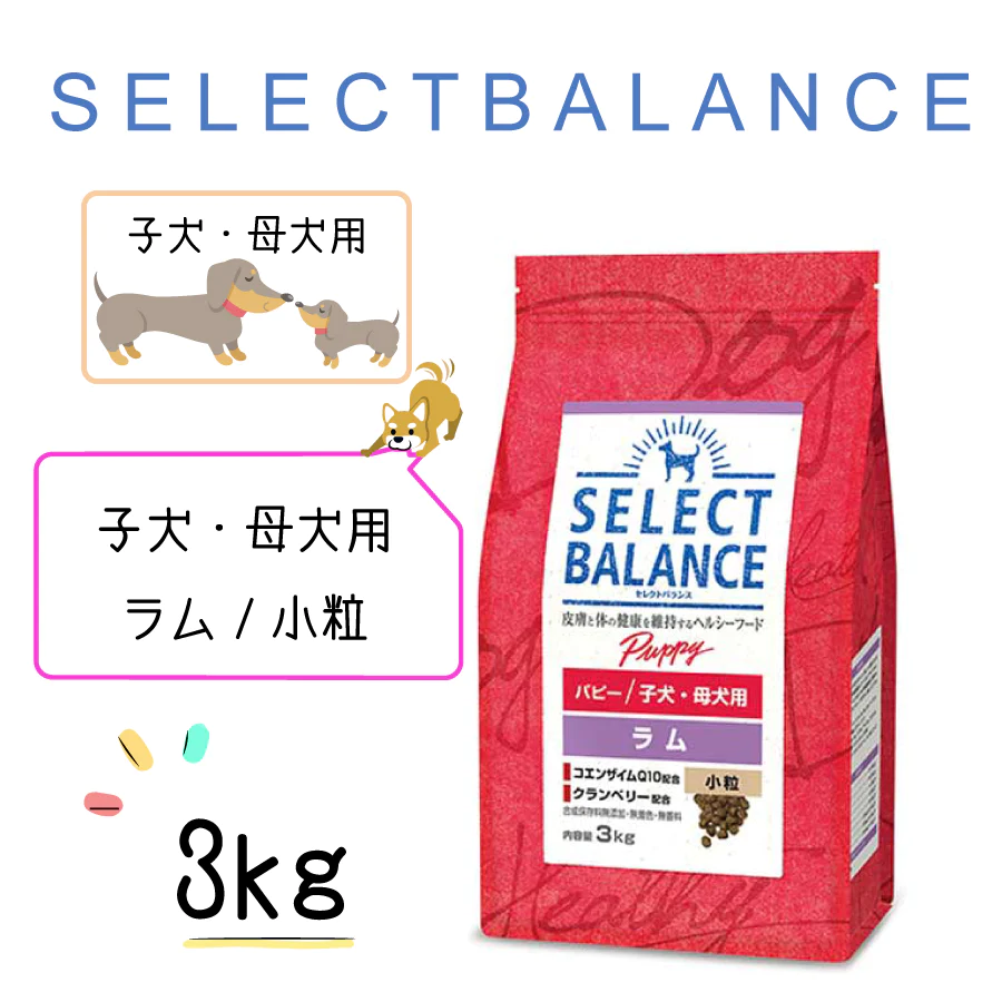 セレクトバランス パピー ラム 小粒 子犬・母犬用 3kg ドッグフード ドライフード 子犬 妊娠 出産