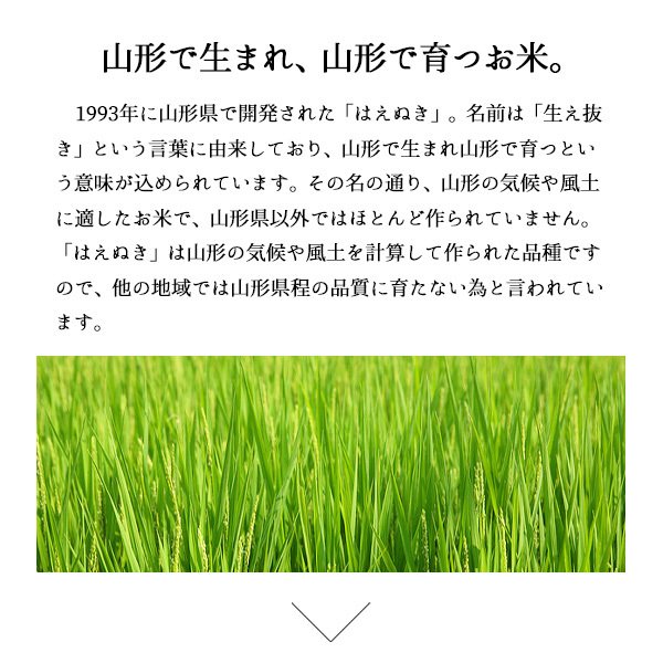 【5人シェア買いで5%OFF】米 10kg 山形産はえぬき 令和3年産 お米 10キロ（本州：送料無料）