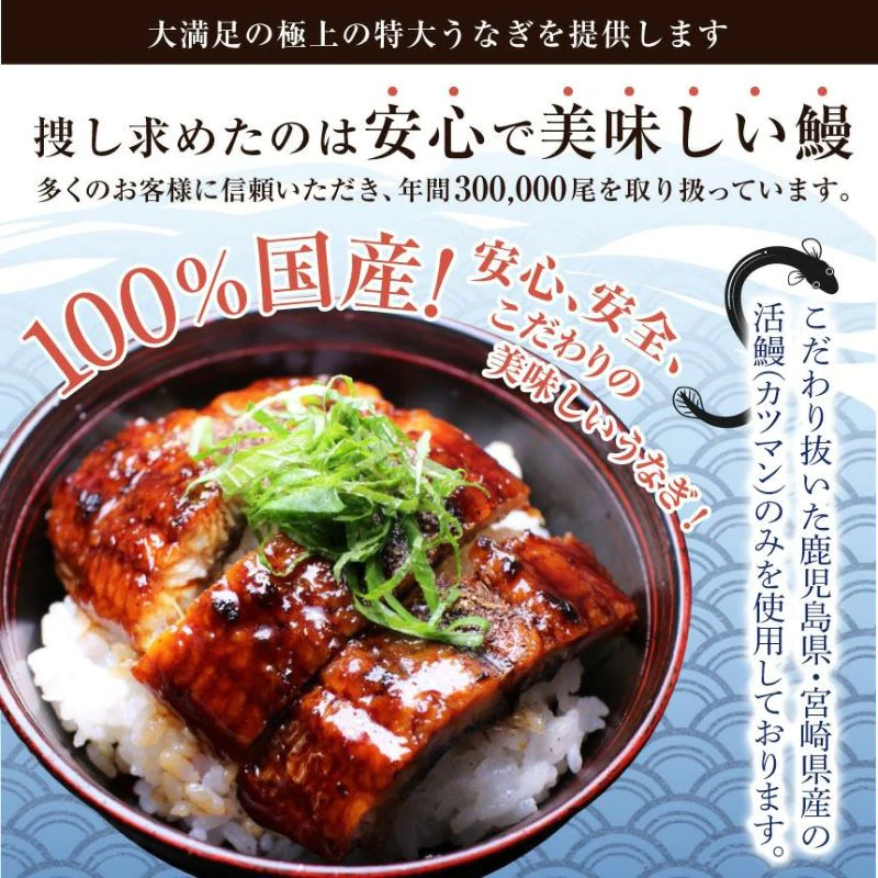 185g～215gｘ10本 特大うなぎ蒲焼 九州産