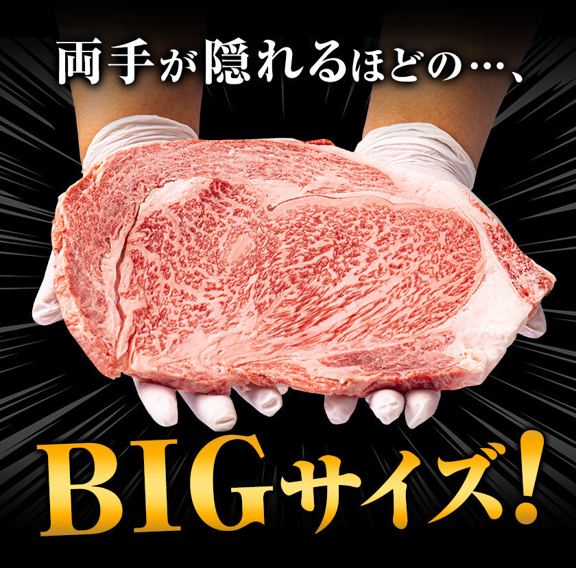【熊本コレクション】黒毛和牛 リブロース ステーキ 300g 送料無料 ステーキ肉 九州産 国産 リブロースステーキ 和牛ステーキ BBQ バーベキュー 肉 お祝い お歳暮 御歳暮 誕生日 熨斗 のし 食べ物 牛肉 肉 まとめ買い《11月中旬-12月上旬頃より発送予定》