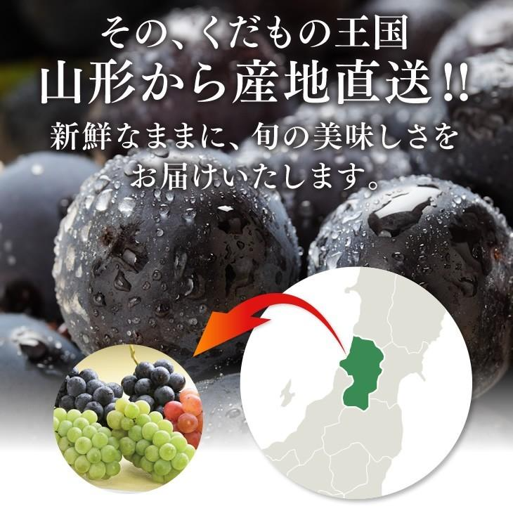訳あり ピオーネ 約2kg(房数おまかせ) ぶどう 山形県産 送料無料 gr05【ゲリラセール】