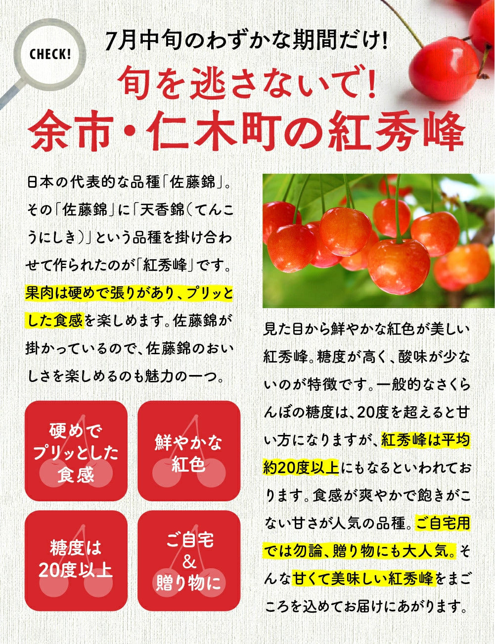 【７月中旬～下旬出荷】紅秀峰 さくらんぼ 800g 北海道 余市町 仁木町産