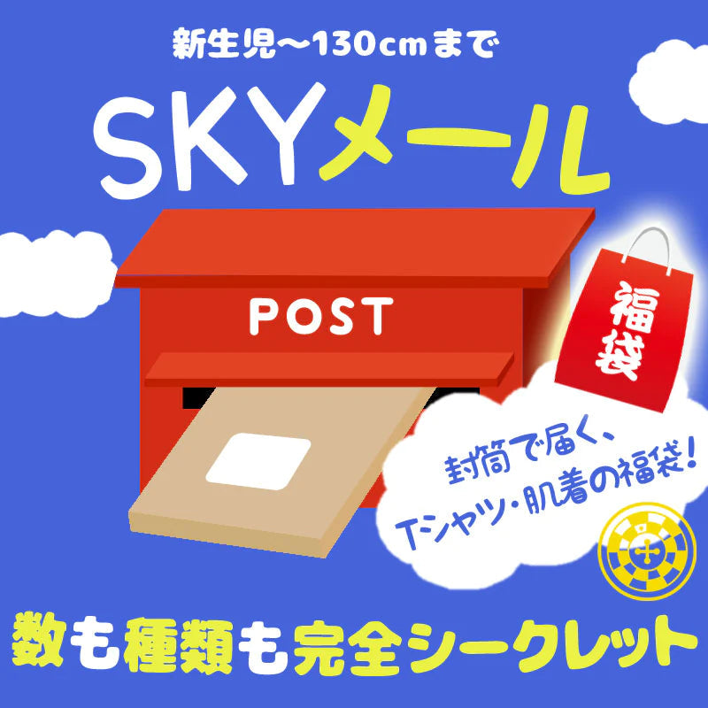 【110cm 男の子 3枚入り】 夏物Tシャツ・肌着 福袋「SKYメール」