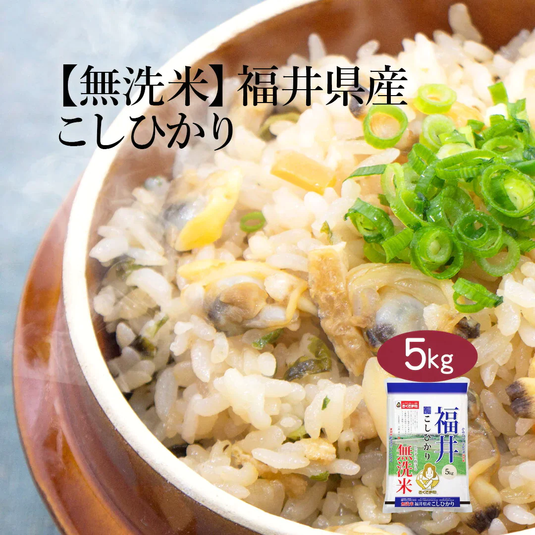 無洗米 米 福井県産 こしひかり 5kg 令和5年産 新米 お米 白米 おくさま印 国産 食品 ギフト 引っ越し 挨拶 出産 内祝い 母の日 父の日 お中元 お歳暮 結婚 快気 還暦 香典返し 寒中 暑中見舞い お年賀 送料無料