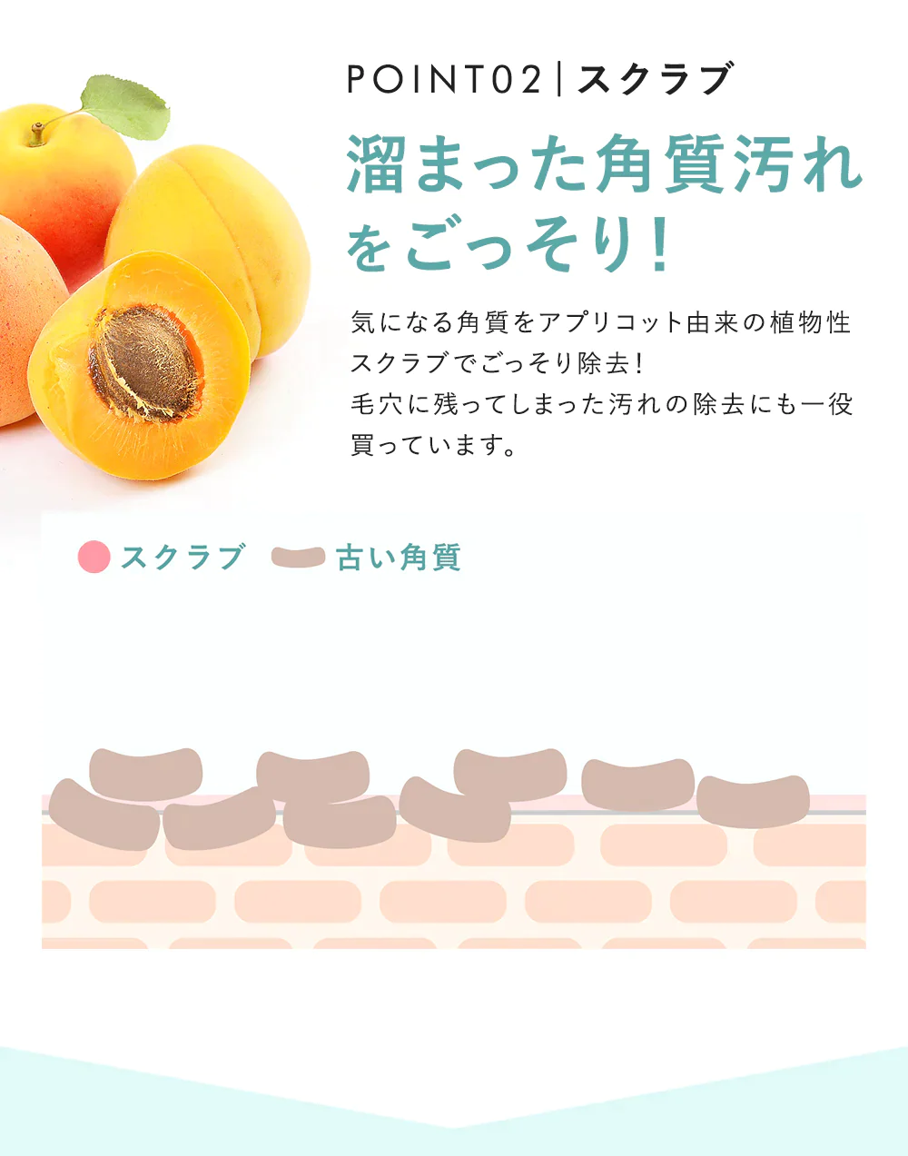 【PHOEBE BEAUTY UP  パウダーウォッシュ 1箱30包】酵素洗顔 個包装 パパイン 酵素洗顔パウダー 日本製