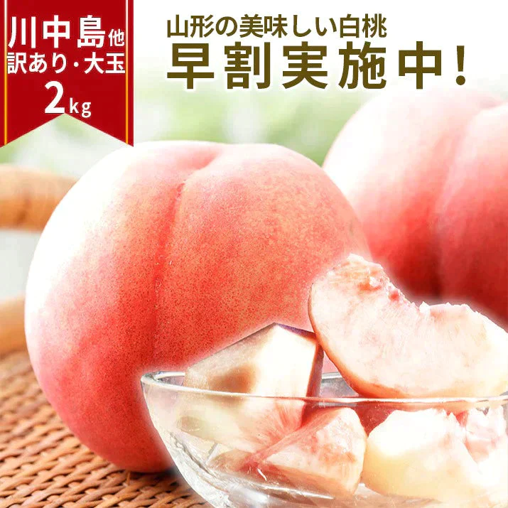 【8月上旬発送】 訳あり 山形 白桃 ２ｋｇ（６～１０玉前後）クール便 ！ちょっと訳あり桃 固い桃 柔らかい桃 を時期に応じてお届け 硬い桃 【品種指定不可】桃 送料無料 果物 フルーツ【エコ得SALE】
