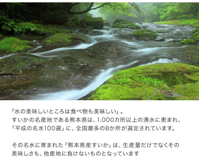 【カウシェうまいもん市場】すいか 熊本県産 送料無料 訳あり スイカ 熊本すいか 1玉 S〜Mサイズ 4kg以上 果物 フルーツ 旬 食品 7-14営業日以内に出荷予定(土日祝日除く)