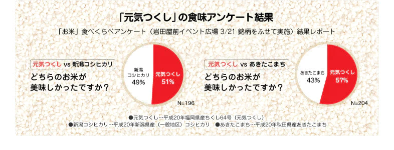 【100円シェア買い】お米 300g 九州産 福岡県産元気つくし　2合小袋パック 完全小分け　研ぐお米 300g×1個【ご新規さんとシェア買い】