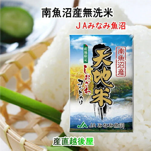 【送料込み】令和４年産 南魚沼産 コシヒカリ 300g 無洗米 新潟県 南魚沼 JAみなみ魚沼農協真空包装 天地米