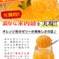 まるごと みかんゼリー フルーツギフト 熊本 小玉みかん 使用 ミカンゼリー 送料無料 果物 スイーツ セット おしゃれ かわいい《7-14営業日以内に発送予定(土日祝日除く)》