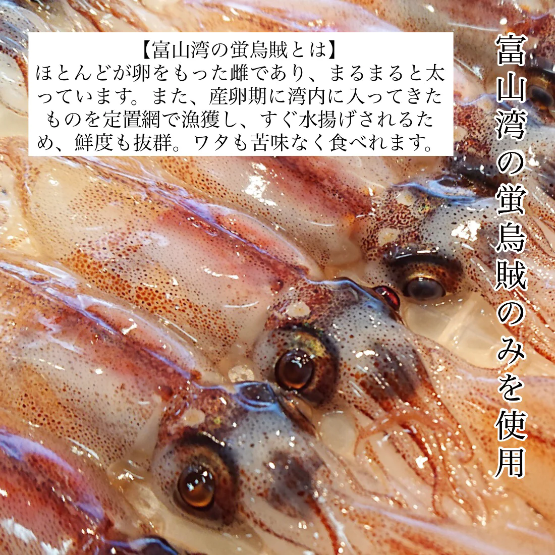 無添加 富山湾産 ほたるいか 素干し 50g×1袋 富山 ワタたっぷり 肉厚で炙らなくても美味しい 干物 肝入り ホタルイカ素干し 蛍烏賊 お試し 海鮮 おつまみ つまみ 珍味【A配送：常温】