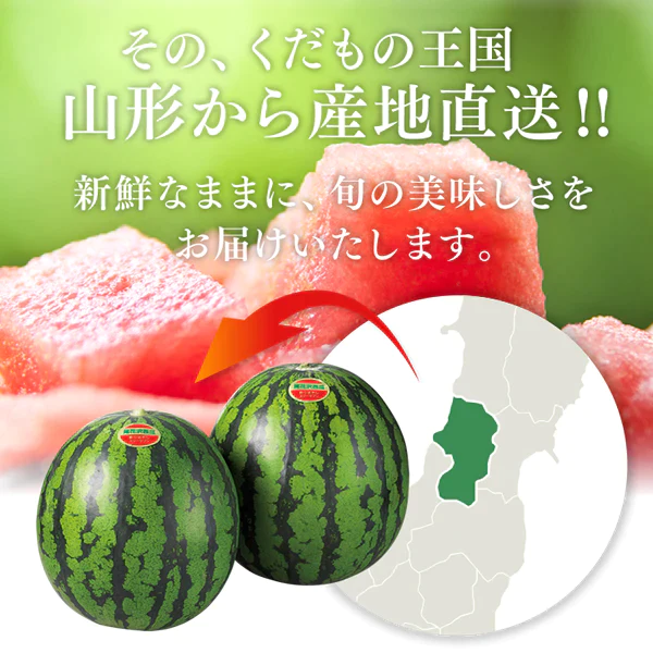 順次出荷中 秀品 ギフト 山形県産尾花沢すいか 1玉(約5kg) wm11