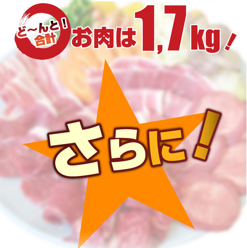 バーベキュー メガ盛り セット 冷凍たっぷり6～8人前 福袋 （ 総重量 2.1kg ）