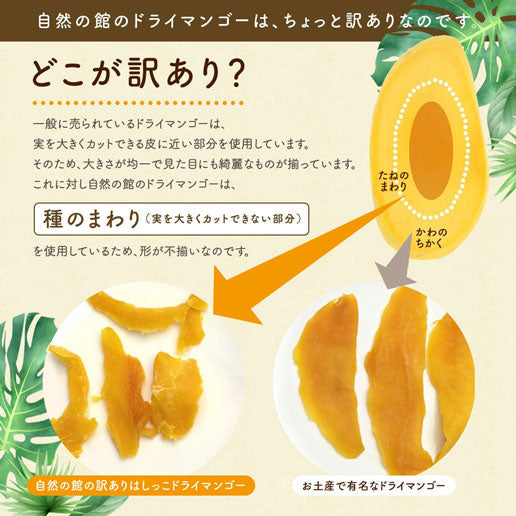 【最安値挑戦祭】500g 半生ドライマンゴー ドライフルーツ 訳あり 果実酢作りにおすすめ 不揃い セブ島 送料無料