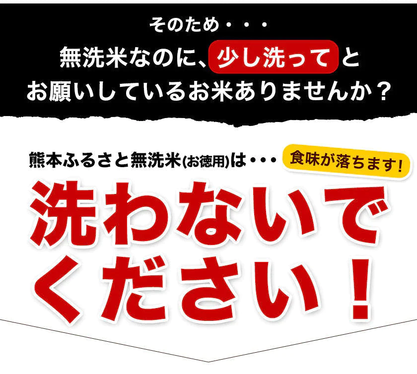 無洗米 10kg (5kg ×2袋) 熊本県産 令和4年産 ひのひかり 6割使用 コメ 精米 白米 熊本ふるさと無洗米【リピート】《7-14営業以内に出荷予定(土日祝日除く)》