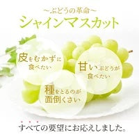 送料無料 岡山産 シャインマスカット 晴王 青秀2房 800-900g ぶどう ギフト お供え プレゼント 贈り物 お土産