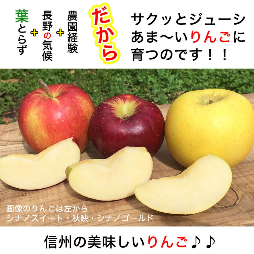 【2023年産予約開始！数量限定！】シナノゴールド 訳あり 約4.5kg(11-28玉) パリっと歯ごたえジューシー 10月下旬頃発送開始予定 #YAG0B045